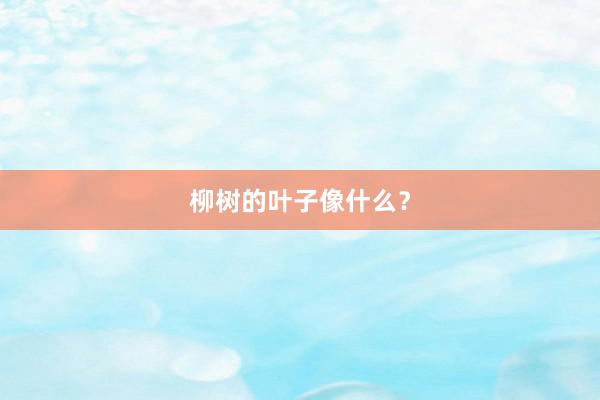柳树的叶子像什么？