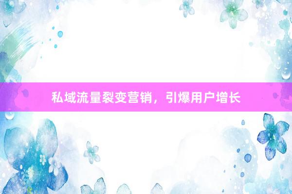 私域流量裂变营销，引爆用户增长