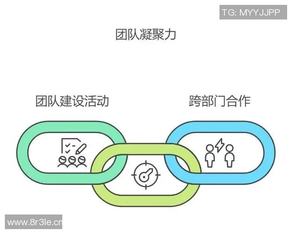 以竞体育团队为核心推动协作创新与团队精神的全面提升